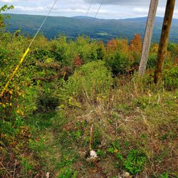 Mohawk Trail - Beautiful Berkshire mountains - 9/21/2024
