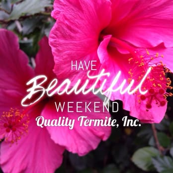Quality Termite Damage Repairs, Inc - Natural Organic - Pest Control Near Me - Paramount, California