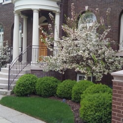 Lofton Landscaping Company - Flowering crabs