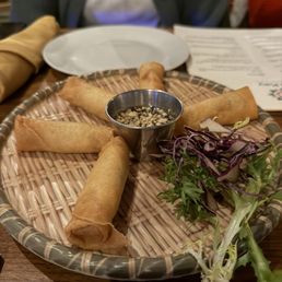 Fried Spring Rolls Fried Spring Rolls