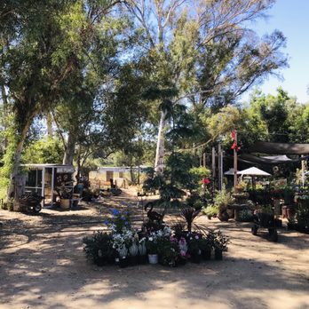 Valley Center Nursery - Nurseries & Gardening Near Me - Valley Center, California