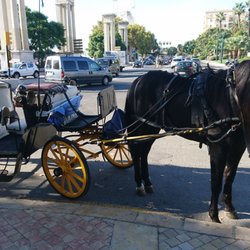 Cuidad de Malaga - Pferdekutsche