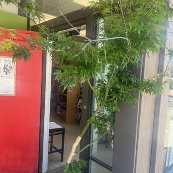 Forest Books - Planted by the door - Bookstores Near Me - San Francisco, California Forest Books - Planted by the door - Bookstores Near Me - San Francisco, California