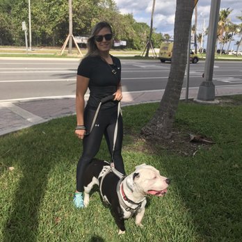 Petco - Pet Stores Near Me - Oakland Park, Florida Petco - Pet Stores Near Me - Oakland Park, Florida