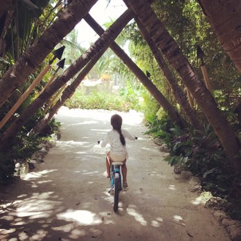 Cheeca Lodge & Spa - biking walking trail - Resorts Near Me - Islamorada, Florida Cheeca Lodge & Spa - biking walking trail - Resorts Near Me - Islamorada, Florida