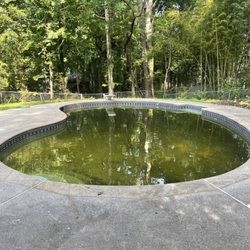 TLC Pool & Spa - Before TLC