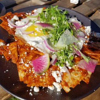 Lost Parrot Cafe - Tasty Chilaquiles! Yay! - Breakfast & Brunch Near Me - South Pasadena, California Lost Parrot Cafe - Tasty Chilaquiles! Yay! - Breakfast & Brunch Near Me - South Pasadena, California