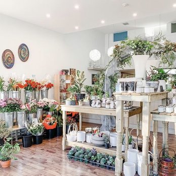 Blumen Florals - Florists Near Me - Vancouver, British Columbia Blumen Florals - Florists Near Me - Vancouver, British Columbia