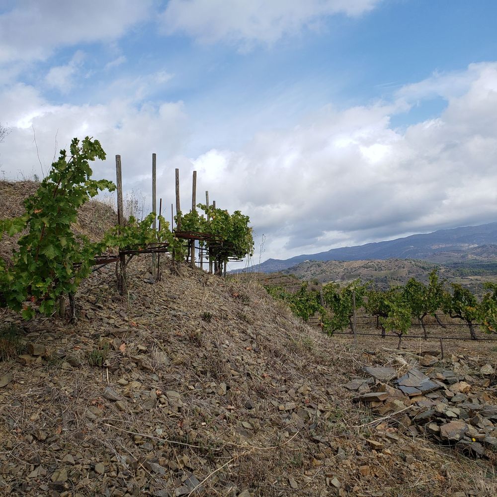 clos mogador - Landmarks & Historical Buildings Near Me