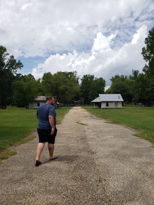 Jackson Lake Island by null
