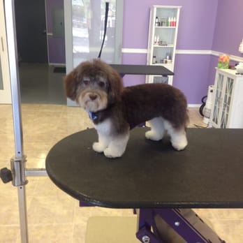 Fuzzy Butts - Pet Stores Near Me - Cincinnati, Ohio Fuzzy Butts - Pet Stores Near Me - Cincinnati, Ohio