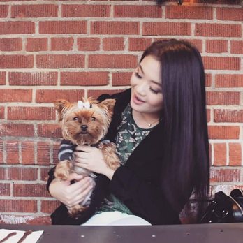 Savoy Kitchen - My dog approves - Asian Fusion Near Me - Alhambra, California Savoy Kitchen - My dog approves - Asian Fusion Near Me - Alhambra, California