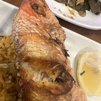The Freakin Rican - Fried Red Snapper--close up - Puerto Rican Near Me - Astoria, New York The Freakin Rican - Fried Red Snapper--close up - Puerto Rican Near Me - Astoria, New York
