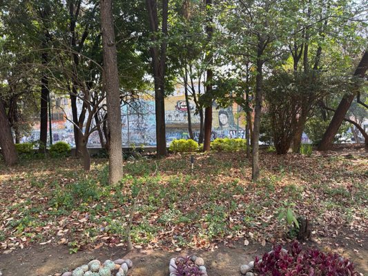 Biblioteca Vasconcelos by null