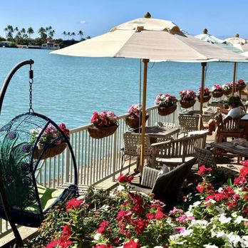 Island Brew Coffeehouse - Coffee & Tea Near Me - Honolulu, Hawaii