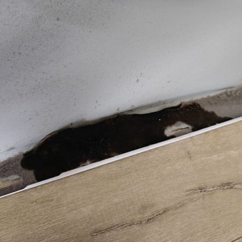 Steves Appliance Repair - Burnt lint - Appliances & Repair Near Me - Downey, California Steves Appliance Repair - Burnt lint - Appliances & Repair Near Me - Downey, California