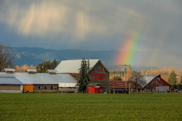 Biringer Farms by null