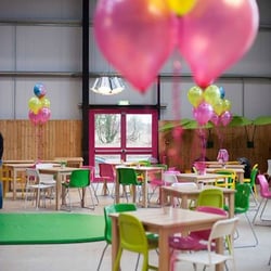 The Pink Pig farm