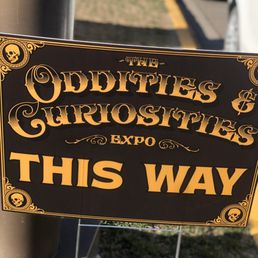 Oddities & Curiosities!