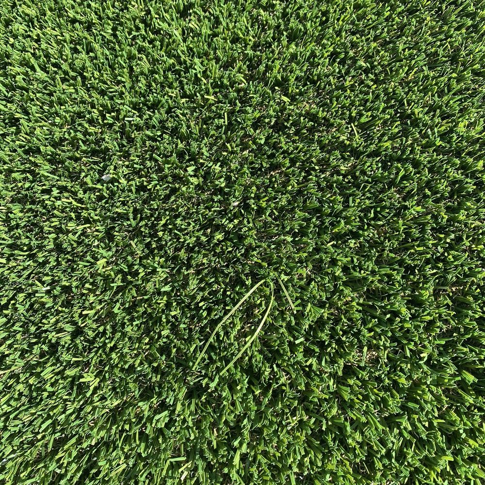 Blades falling out