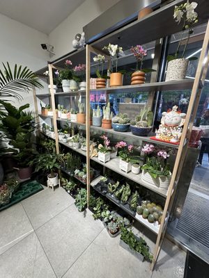 Fresh Picked by null