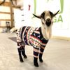 Goat Yoga Nashville gift card