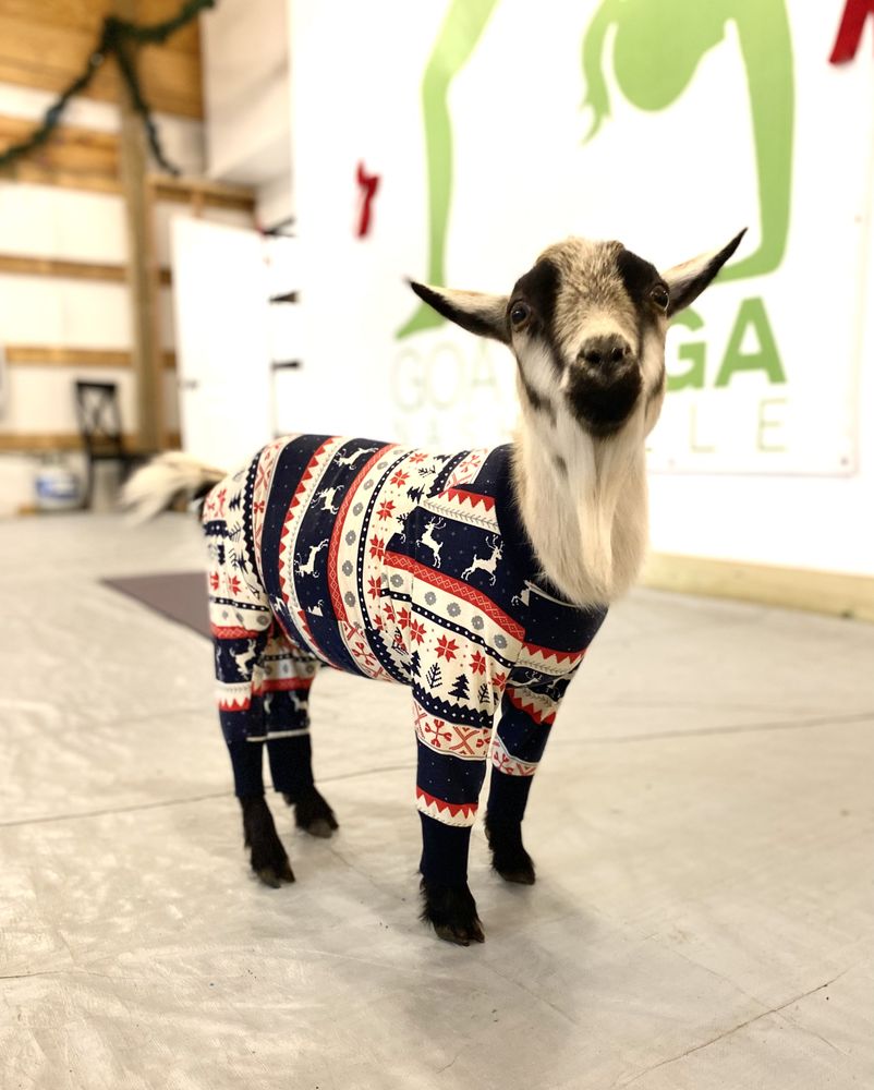Goat Yoga Nashville Logo