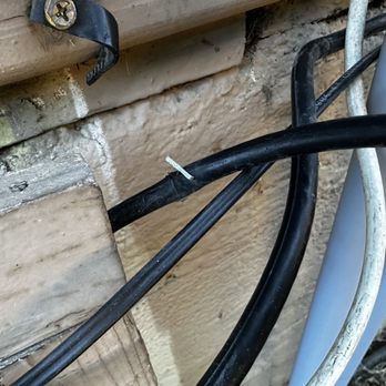 HomeShield Pest Control - Pest Control Near Me