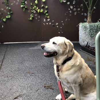 The Garden Room - Dog friendly - Cafes Near Me - Brisbane City, QLD