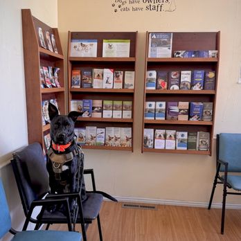 Peninsula Avenue Veterinary Clinic - 06.25.2026 17 months - Veterinarians Near Me - San Mateo, California Peninsula Avenue Veterinary Clinic - 06.25.2026 17 months - Veterinarians Near Me - San Mateo, California