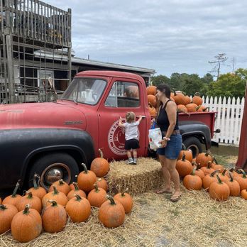Russell Orchards - Coolest old truck, fall ready with pumpkins - Farmers Market Near Me - Ipswich, Massachusetts Russell Orchards - Coolest old truck, fall ready with pumpkins - Farmers Market Near Me - Ipswich, Massachusetts