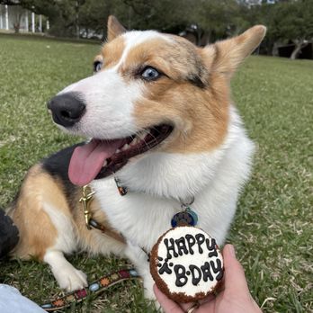Three Dog Bakery - Rice Village - Birthday treat - Pet Stores Near Me - Houston, Texas Three Dog Bakery - Rice Village - Birthday treat - Pet Stores Near Me - Houston, Texas