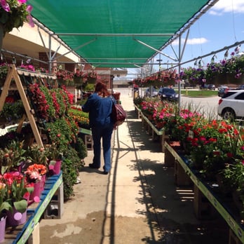 Kroger - Plants! - Grocery Near Me - Fort Wayne, Indiana