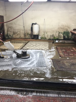 Rug Cleaning - Pars Area Rug Services provide a safe, eco friendly protect to clean your rugs. For any questions about our cleaning services please call us today/