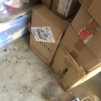 CubeSmart Self Storage - RAT POOP ALL OVER THE FLOOR I HAVE TO CLEAN THIS EVERYDAY - Self Storage Near Me - Spring, Texas