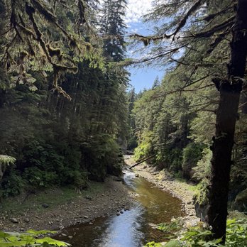 Edgewater Outfitters - Fishing Near Me