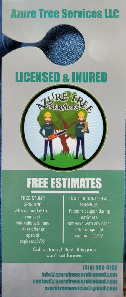 Azure Tree Services - tree service in Baltimore, MD