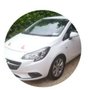 Andie Curtis Driving Academy