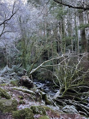 Torc Waterfall by null