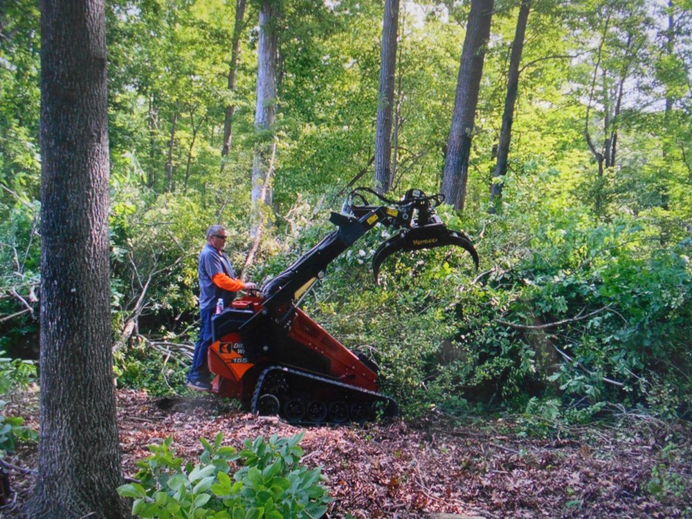 Trees R Us - tree service in Newport News, VA