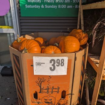 Food Basics - Pumpkins - Grocery Near Me - Mississauga, Ontario