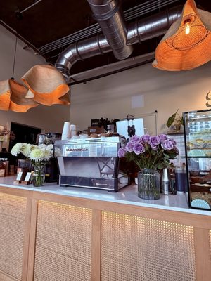Magdalena Coffee & Houseplants by null