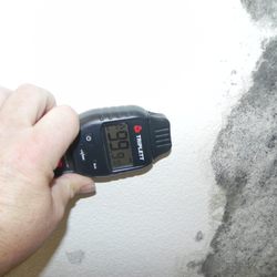 Flagler Mold Testing and Inspection