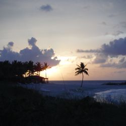 Susan Harris Cruises & Travel