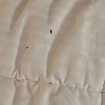 Courtyard by Marriott Birmingham Hoover - Blood on the linens - Hotels Near Me - Hoover, Alabama Courtyard by Marriott Birmingham Hoover - Blood on the linens - Hotels Near Me - Hoover, Alabama