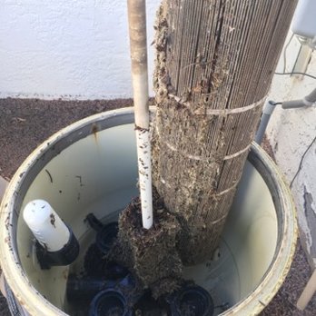 The Pool Tender - Dirty Cartridge Filter - Pool & Hot Tub Service Near Me - Gilbert, Arizona The Pool Tender - Dirty Cartridge Filter - Pool & Hot Tub Service Near Me - Gilbert, Arizona