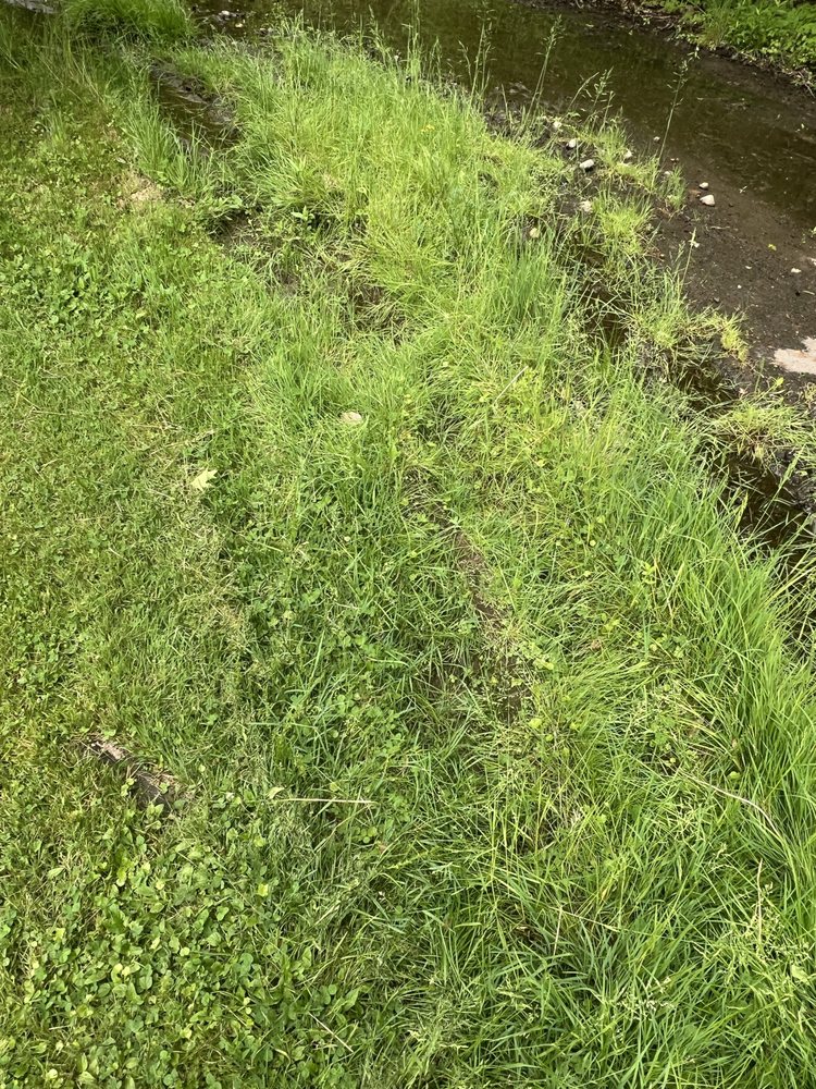 Slide of Bantam Wesson Energy