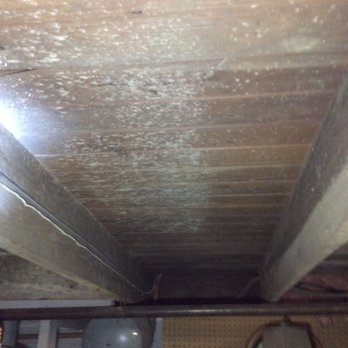 GreenPro Cleaning & Restoration - Before the work was completed. Clear evidence of mold spores. - Damage Restoration Near Me - Deer Park, New York GreenPro Cleaning & Restoration - Before the work was completed. Clear evidence of mold spores. - Damage Restoration Near Me - Deer Park, New York