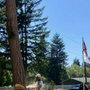 Photo of Jakes Tree Services
