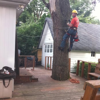 Mark Temple Tree Service - WE HAVECERTIFIED PRO CLIMBERS - Tree Services Near Me - South Bend, Indiana